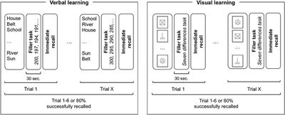 From Learning to Memory: A Comparison Between Verbal and Non-verbal Skills in 22q11.2 Deletion Syndrome